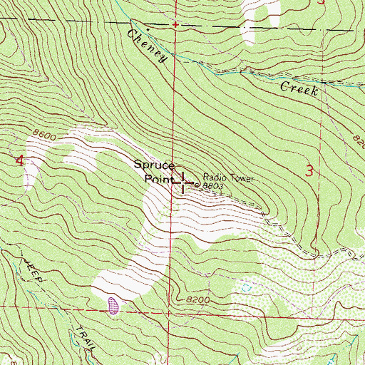 Topographic Map of Spruce Point, CO