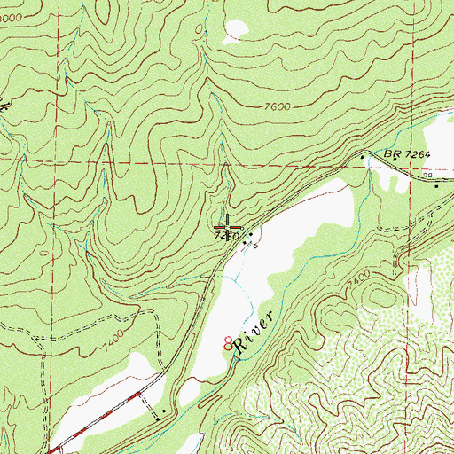 Topographic Map of Little Baldy, CO