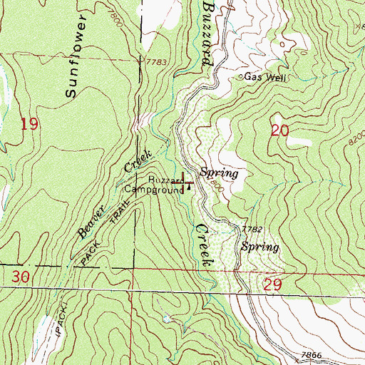 Topographic Map of Buzzard Campground, CO