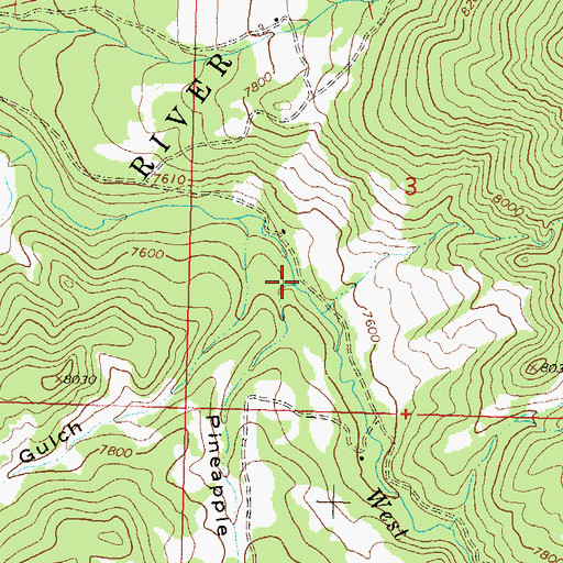 Topographic Map of Pineapple Gulch, CO