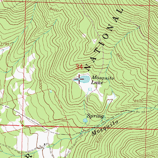Topographic Map of Mosquito Lake, CO