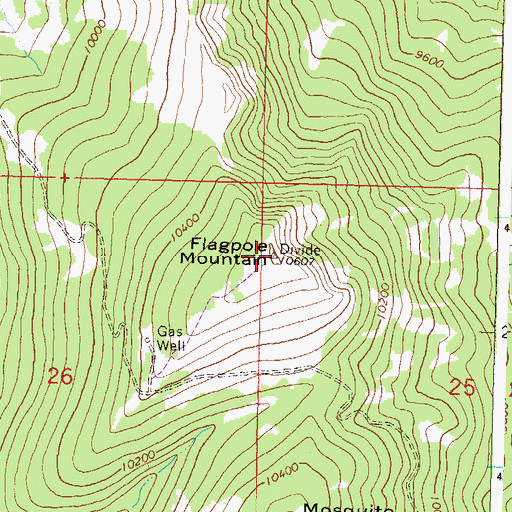 Topographic Map of Flagpole Mountain, CO