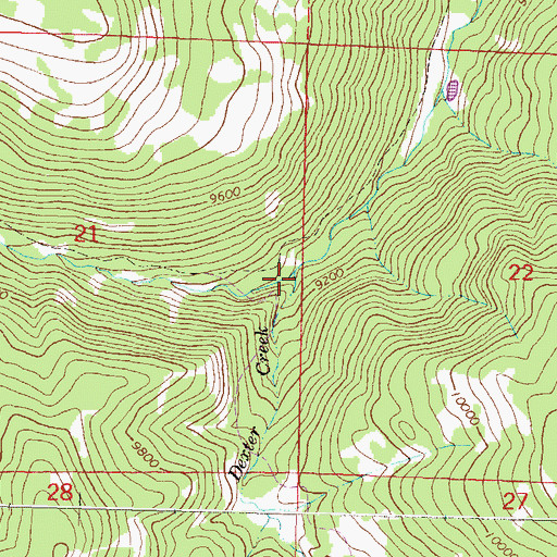 Topographic Map of Dexter Creek, CO