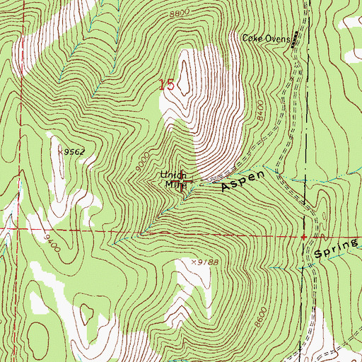 Topographic Map of Union Mine, CO