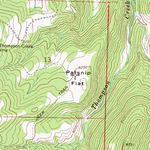 Topographic Map of Parsnip Flat, CO