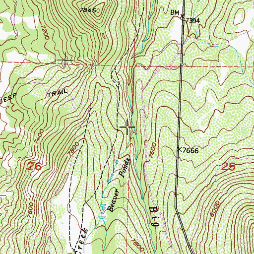 Topographic Map of Mosquito Creek, CO