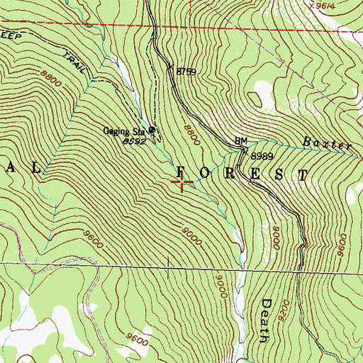 Topographic Map of Baxter Creek, CO