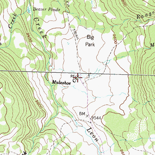 Topographic Map of Muleshoe Creek, CO