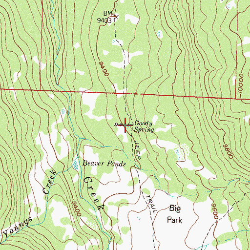 Topographic Map of Goody Spring, CO
