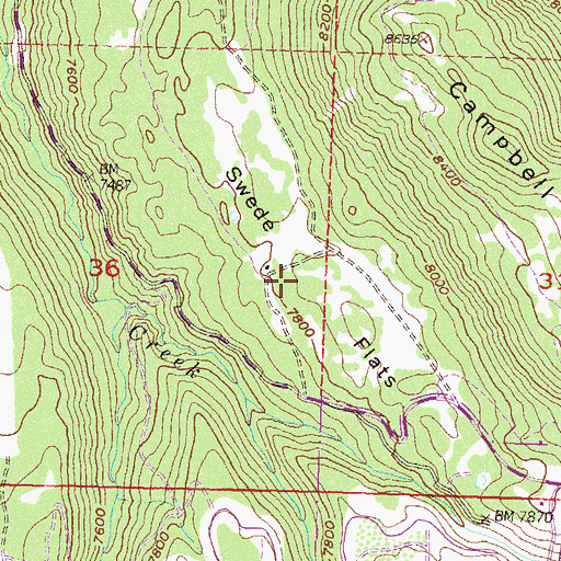 Topographic Map of Swede Flats, CO