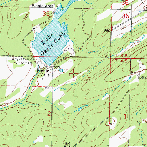 Topographic Map of Ozzie Cobb Lake Dam, OK
