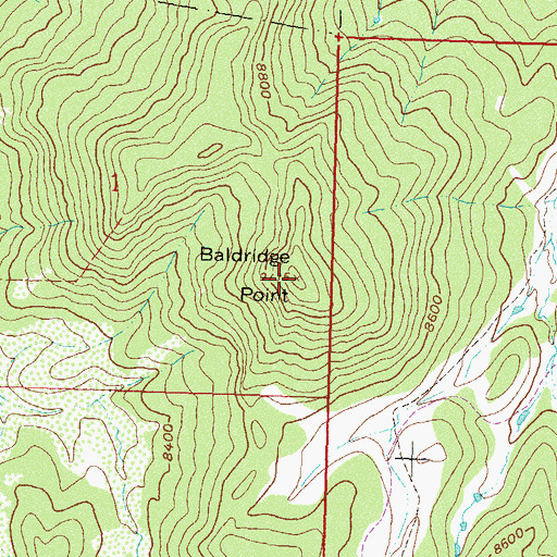 Topographic Map of Baldridge Point, CO