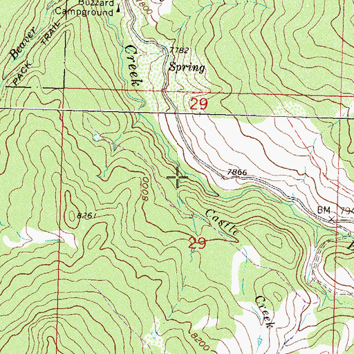Topographic Map of Castle Creek, CO