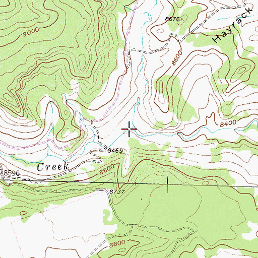 Topographic Map of Turner Creek, CO