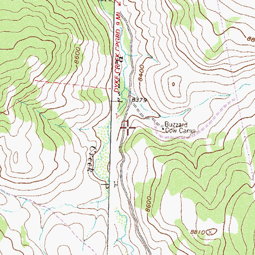 Topographic Map of Buzzard Cow Camp, CO