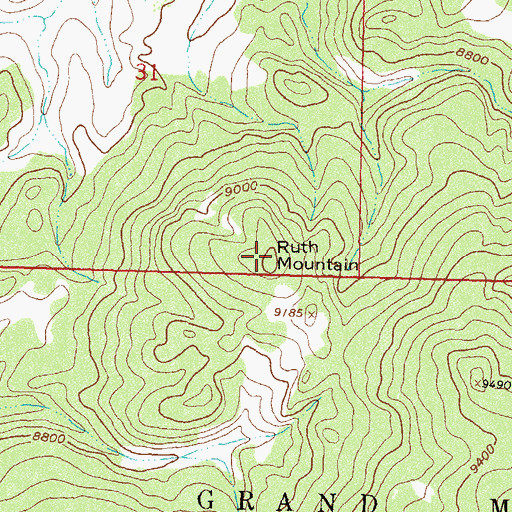 Topographic Map of Ruth Mountain, CO