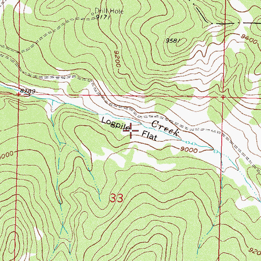 Topographic Map of Logpile Flat, CO