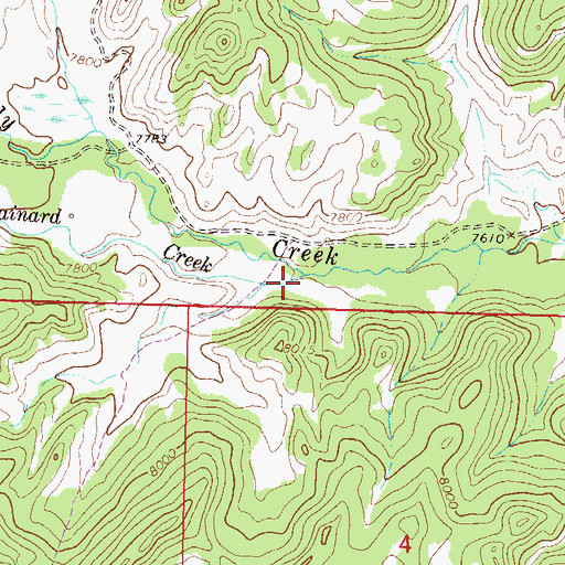 Topographic Map of Bainard Creek, CO
