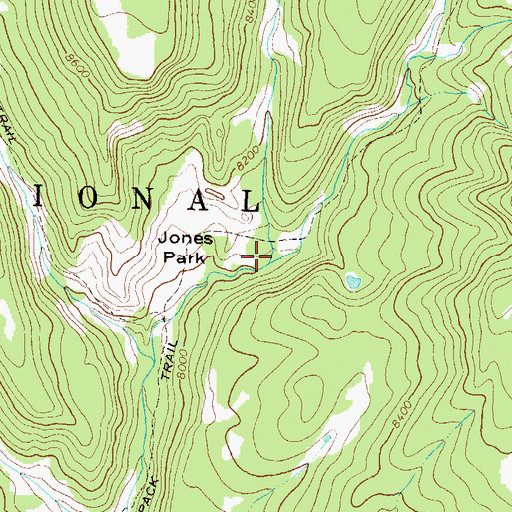 Topographic Map of Trail Gulch, CO