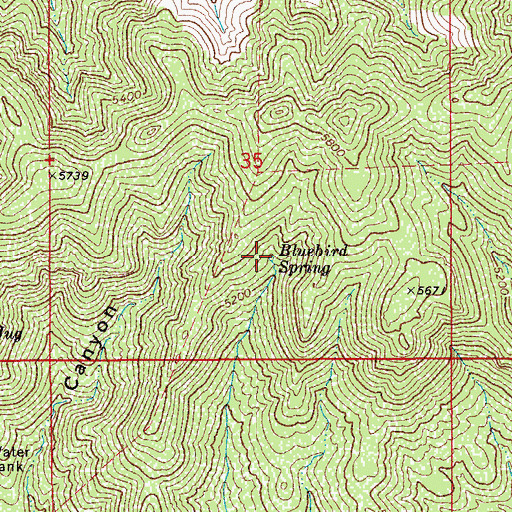 Topographic Map of Bluebird Spring, AZ