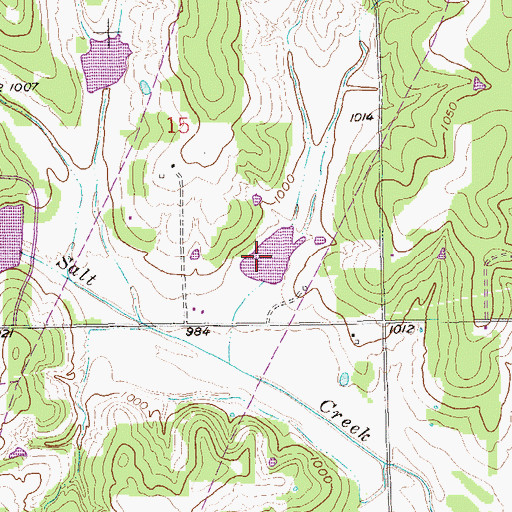 Topographic Map of Salt Creek Site 8 Dam, OK
