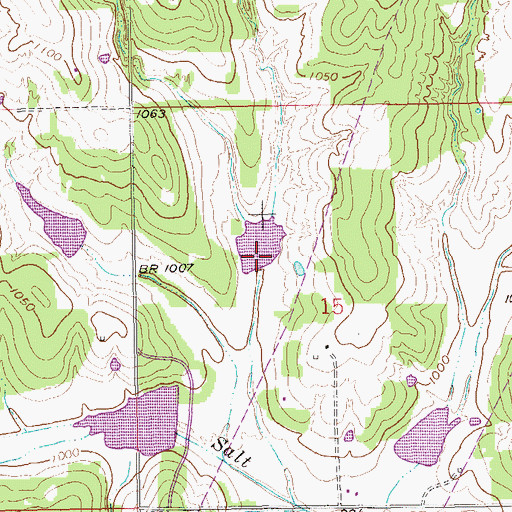 Topographic Map of Salt Creek Site 9 Dam, OK