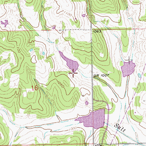 Topographic Map of Salt Creek Site 10 Dam, OK