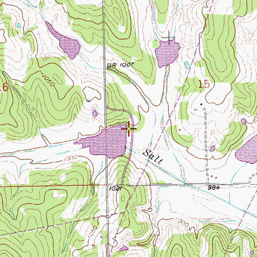 Topographic Map of Salt Creek Site 11 Dam, OK