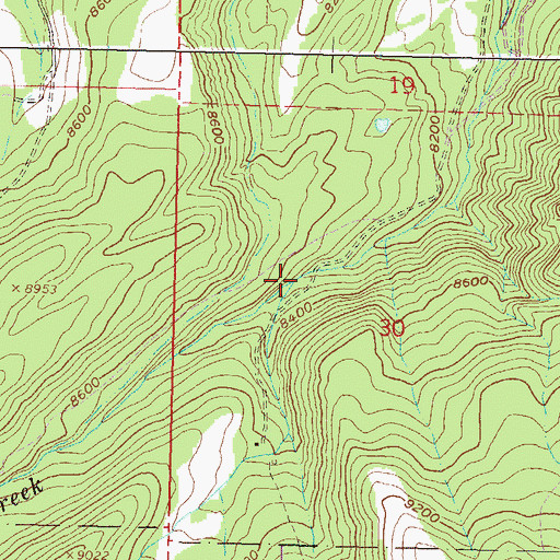 Topographic Map of Nickelson Creek, CO