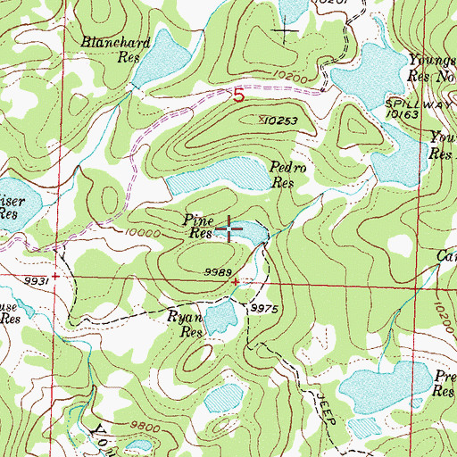 Topographic Map of Pine Reservoir, CO