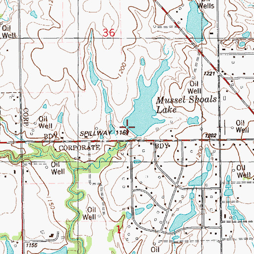 Topographic Map of Mussel Shoals Dam, OK