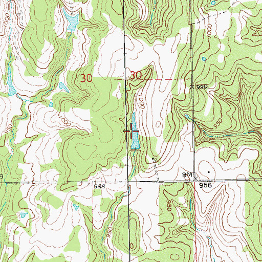 Topographic Map of Oknoname 037019 Reservoir, OK