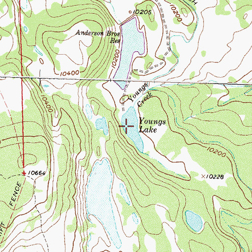Topographic Map of Youngs Lake, CO