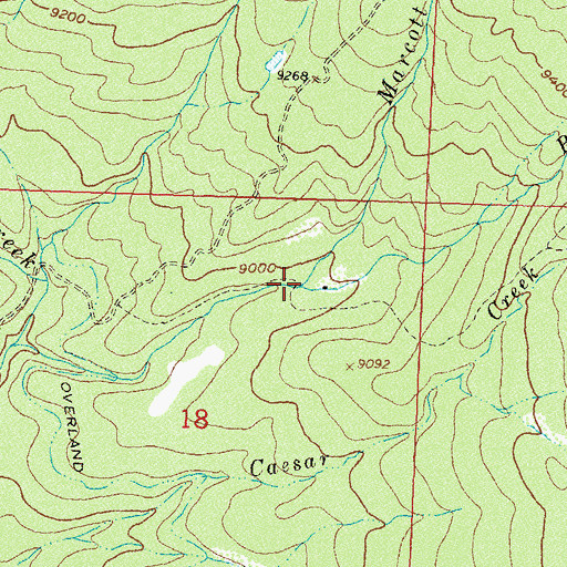 Topographic Map of Beaver Creek, CO