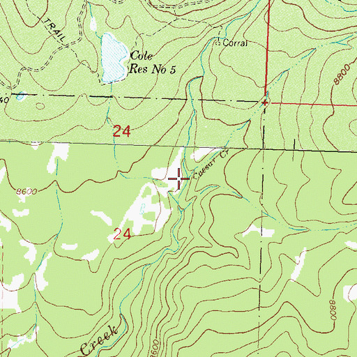 Topographic Map of Caesar Creek, CO
