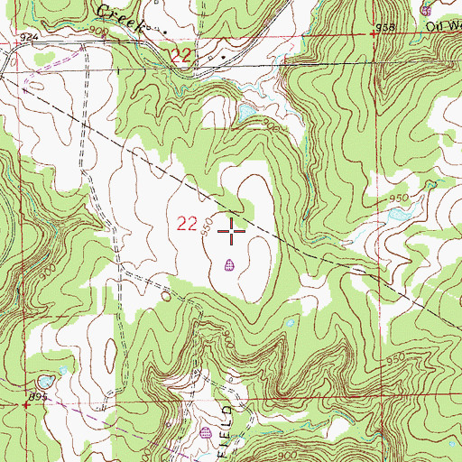 Topographic Map of Oknoname 113101 Dam, OK