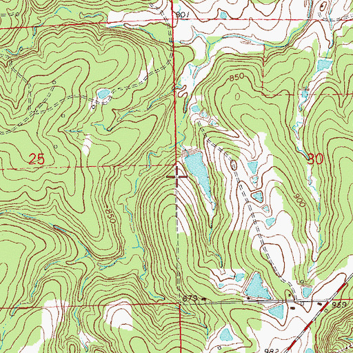 Topographic Map of Oknoname 113039 Dam, OK