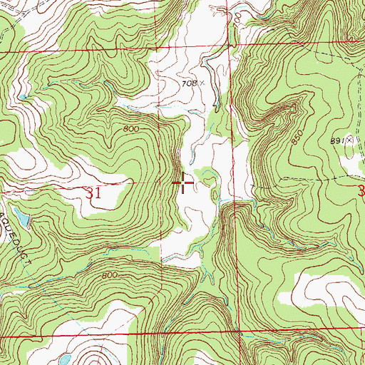Topographic Map of Oknoname 113025 Reservoir, OK