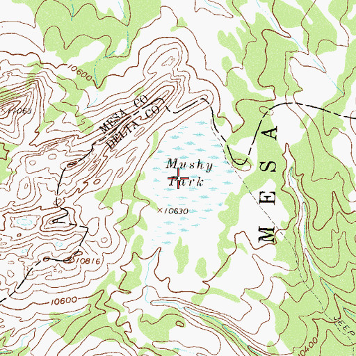 Topographic Map of Mushy Park, CO
