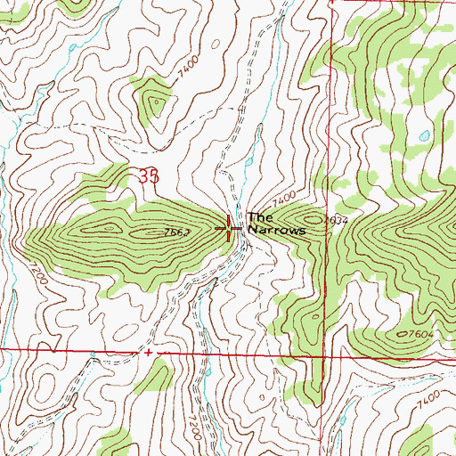 Topographic Map of The Narrows, CO