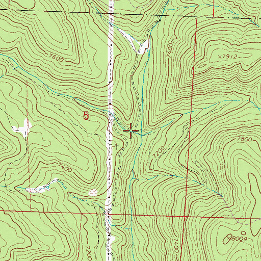 Topographic Map of East Fork Terror Creek, CO