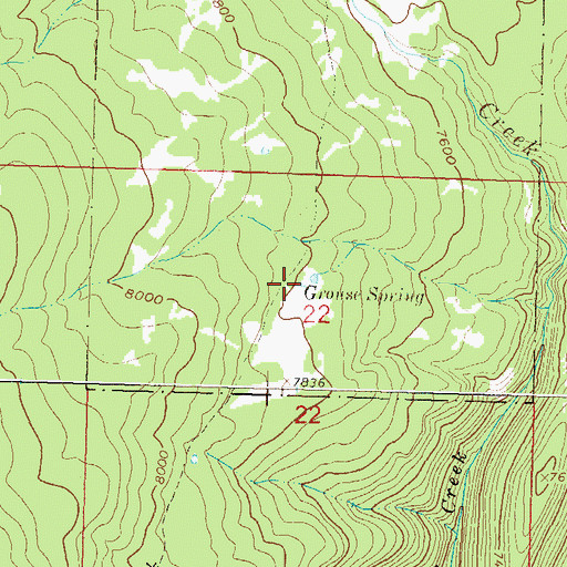 Topographic Map of Grouse Spring, CO