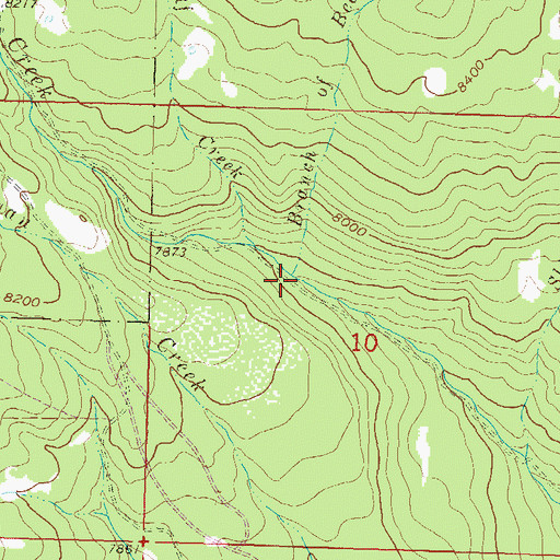 Topographic Map of Branch of Bee Creek, CO