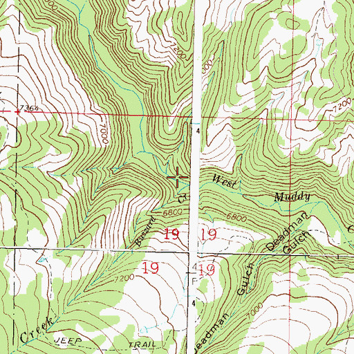 Topographic Map of Buzzard Creek, CO