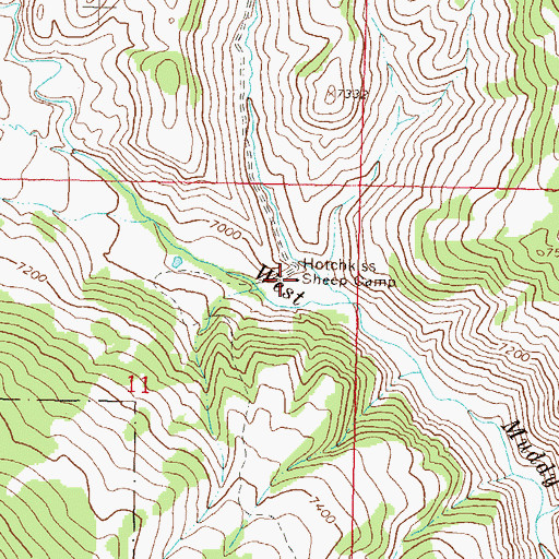 Topographic Map of Hotchkiss Sheep Camp, CO