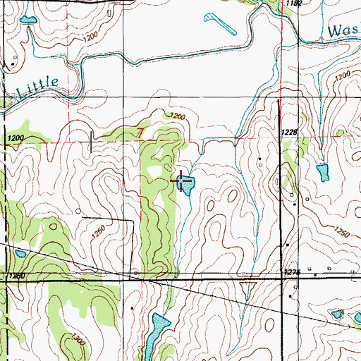 Topographic Map of Little Washita Site 17 Reservoir, OK