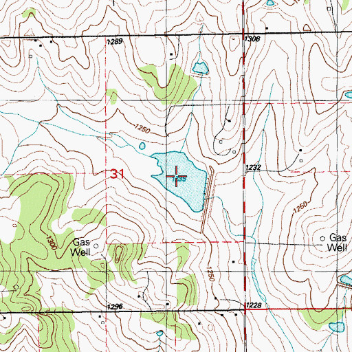 Topographic Map of Little Washita Site 39 Reservoir, OK