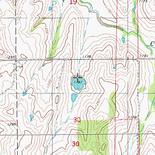 Topographic Map of Little Washita Site 10 Dam, OK