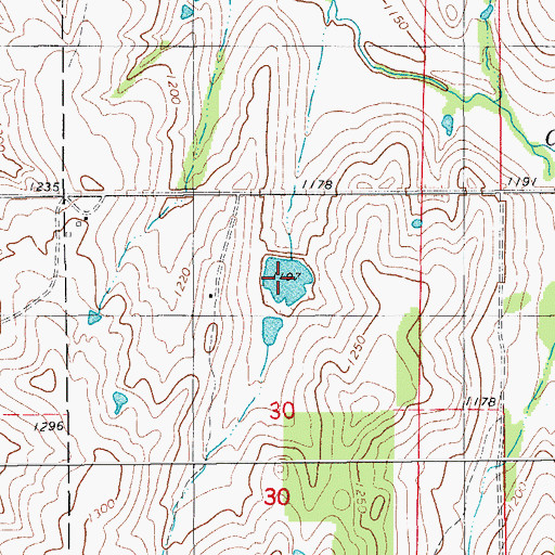Topographic Map of Little Washita Site 10 Reservoir, OK