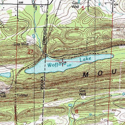 Topographic Map of Wofford Lake, AR